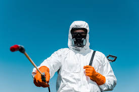 Real Estate Pest Inspections in Lockhart, TX